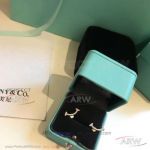 AAA Tiffany And Co T Smile Diamond Earrings - 925 Silver